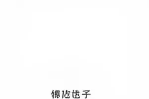 跨年直播两版视频并排对照界面，断点位置用红色标记