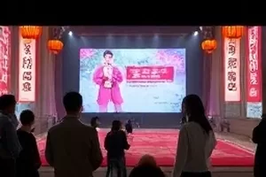 匿名投稿的核实流程表单截图，各环节用勾选项标记